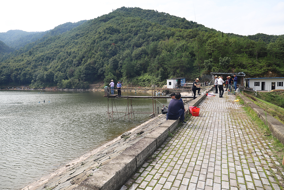 浙江新東陽建設(shè)集團(tuán)有限公司