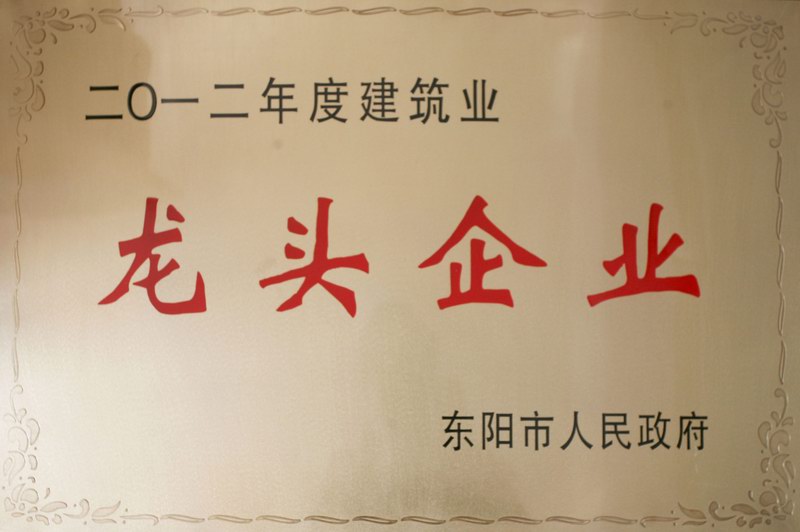 浙江新東陽建設(shè)集團(tuán)有限公司